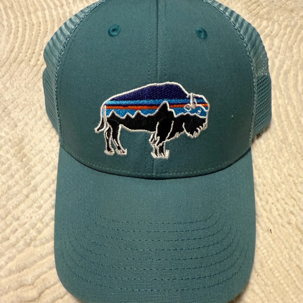 Patagonia Hat